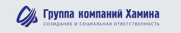 Группа компаний описание. Группа компаний Хамина логотип. ГК Хамина лого. Хамина Воронеж.