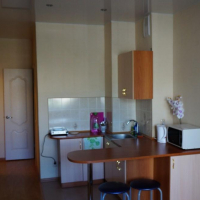 Кострома — 1-комн. квартира, 27 м² – Советская, 97 (27 м²) — Фото 3