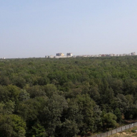 Воронеж — 1-комн. квартира, 30 м² – Мкр.Олимпийский., 3 (30 м²) — Фото 18