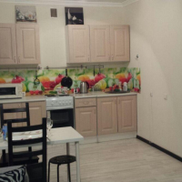 Уфа — 1-комн. квартира, 43 м&sup2; – Комсомольская, 109 (43 м²) — Фото 10
