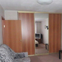 1-комнатная квартира, этаж 9/17, 20 м²