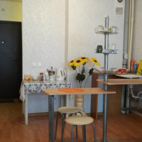 Ижевск — 1-комн. квартира, 26 м² – Героя России Ильфата Закирова, 7 (26 м²) — Фото 4