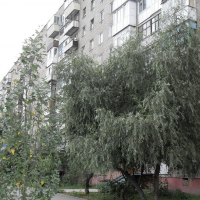 Омск — 1-комн. квартира, 37 м² – 10 лет Октября, 145 (37 м²) — Фото 4