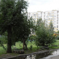 Омск — 1-комн. квартира, 37 м² – 10 лет Октября, 145 (37 м²) — Фото 2