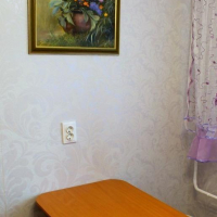Новосибирск — 1-комн. квартира, 30 м² – Карла Маркса проспект 53  НГТУ  Обл. больница (30 м²) — Фото 5