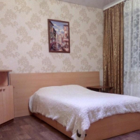Новосибирск — 1-комн. квартира, 45 м² – Красный пр-кт, 173/1 (45 м²) — Фото 16