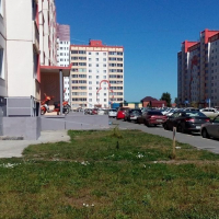 Новосибирск — 1-комн. квартира, 39 м² – Петухова, 95 (39 м²) — Фото 16