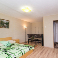 Екатеринбург — 1-комн. квартира, 39 м² – Мамина-Сибиряка (39 м²) — Фото 16