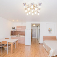 Владивосток — 1-комн. квартира, 50 м² – Некрасовская, 90 (50 м²) — Фото 8