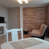 Петрозаводск — 1-комн. квартира, 35 м² – Чистая, 8 (35 м²) — Фото 8