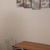Петрозаводск — 1-комн. квартира, 46 м² – Энтузиастов, 17 (46 м²) — Фото 13