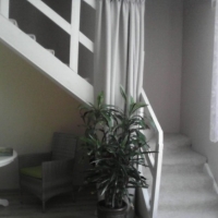 1-комнатная квартира, этаж 2/2, 55 м²